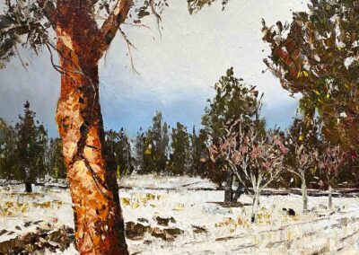 Dramatic oil painting of Ponderosa tree with sunlight creating shadows on the trunk. Snow scene by Shelly Wierzba American Impressionist.